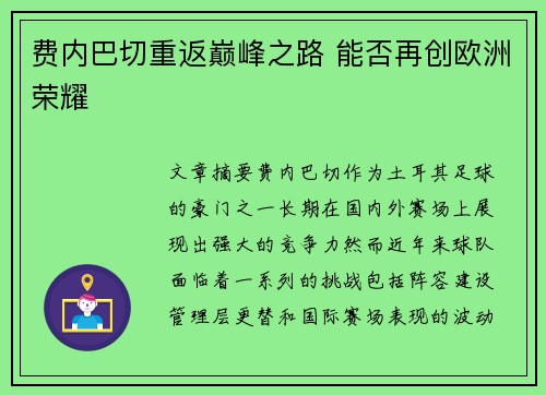 费内巴切重返巅峰之路 能否再创欧洲荣耀