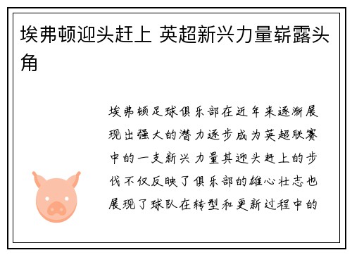 埃弗顿迎头赶上 英超新兴力量崭露头角